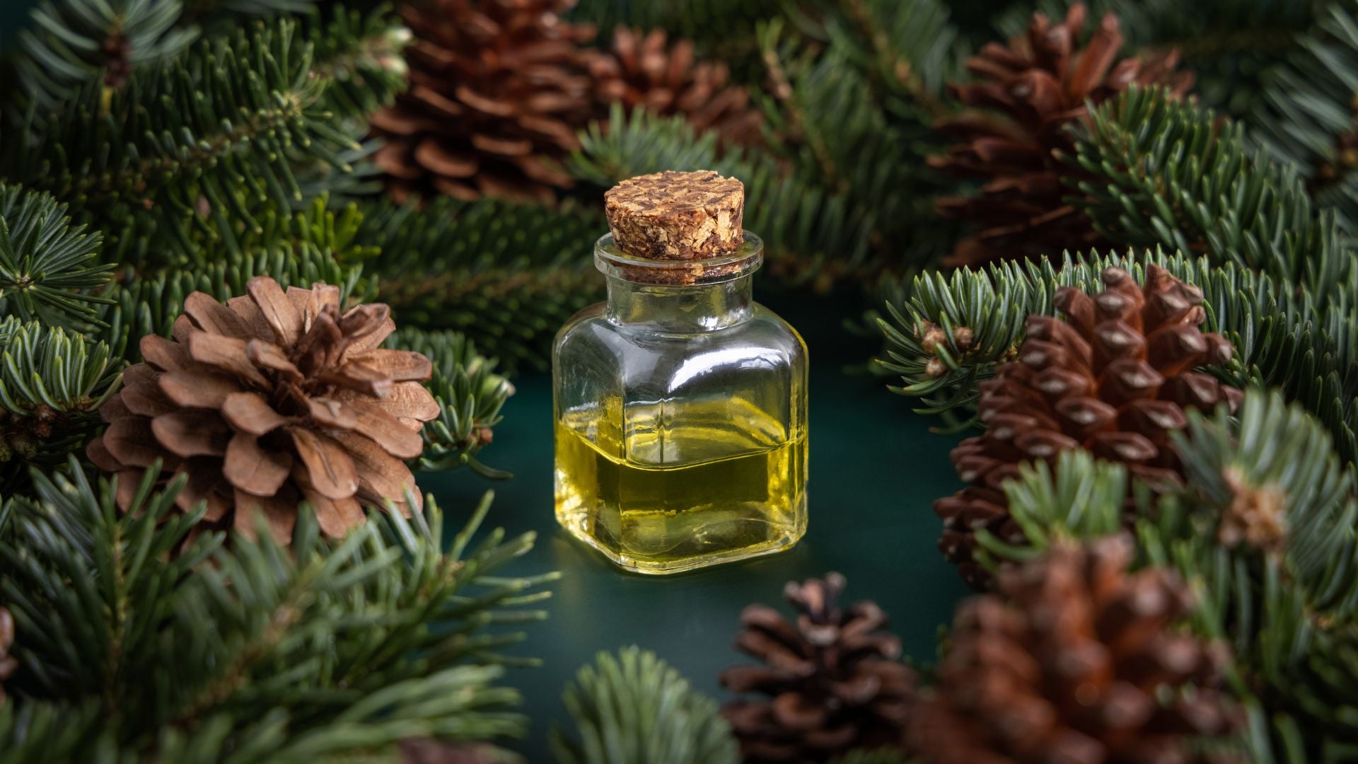 How Siberian Fir Oil Can Boost Immunity and Fight Seasonal Ailments